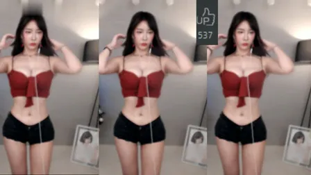 AfreecaTV主播冬天BJ겨울2019年12月10日直播视频舞蹈剪辑20353321